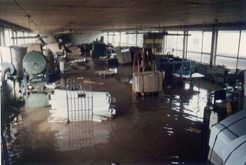 Hochwasser 1981 am Mittelweg in Northeim